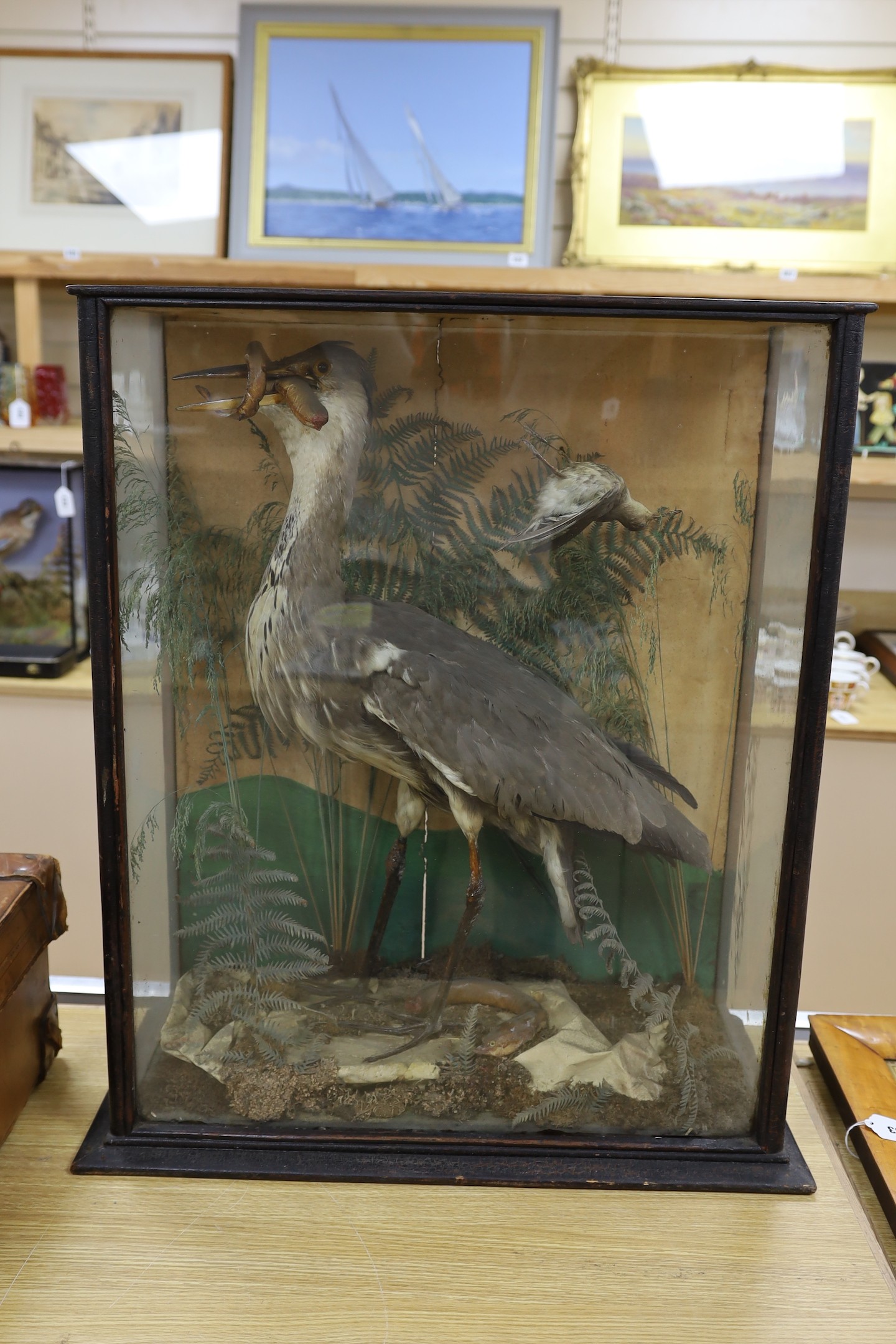 A cased taxidermic heron amongst foliage with caught eel bait, 76cm tall